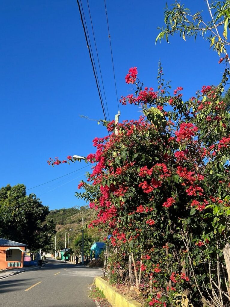 WhatsApp Image 2026-04-08 at 11.54.01 AM