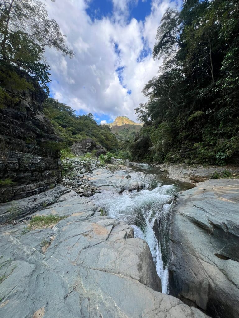 WhatsApp Image 2026-04-08 at 11.54.03 AM